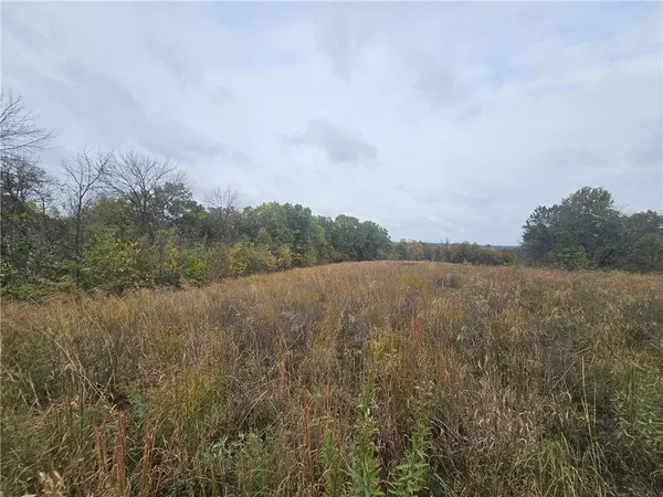 $125,000 | Faulk Road, Purdin, MO 64674