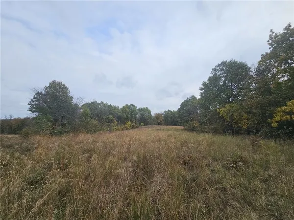$125,000 | Faulk Road, Purdin, MO 64674
