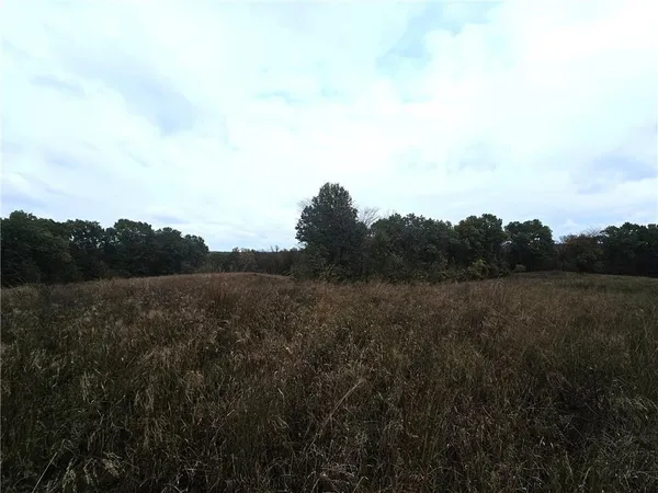 $125,000 | Faulk Road, Purdin, MO 64674