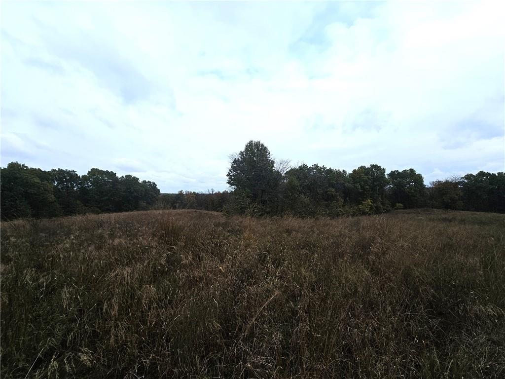 Faulk Road Purdin, MO 64674 - Photo 8 of 13