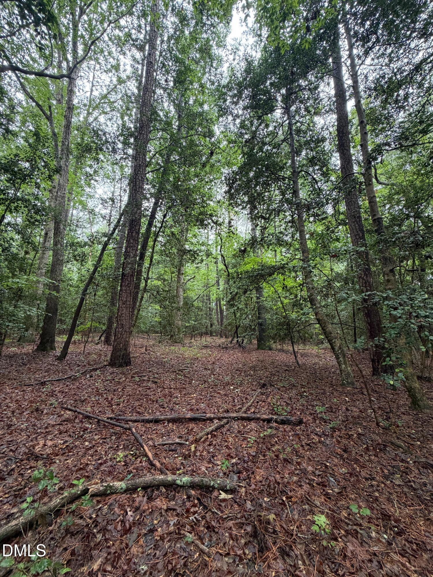 Lot 5 Claude Lewis Road Bailey, NC 27807 - Photo 12 of 16 IMG_4287(1)_MLS