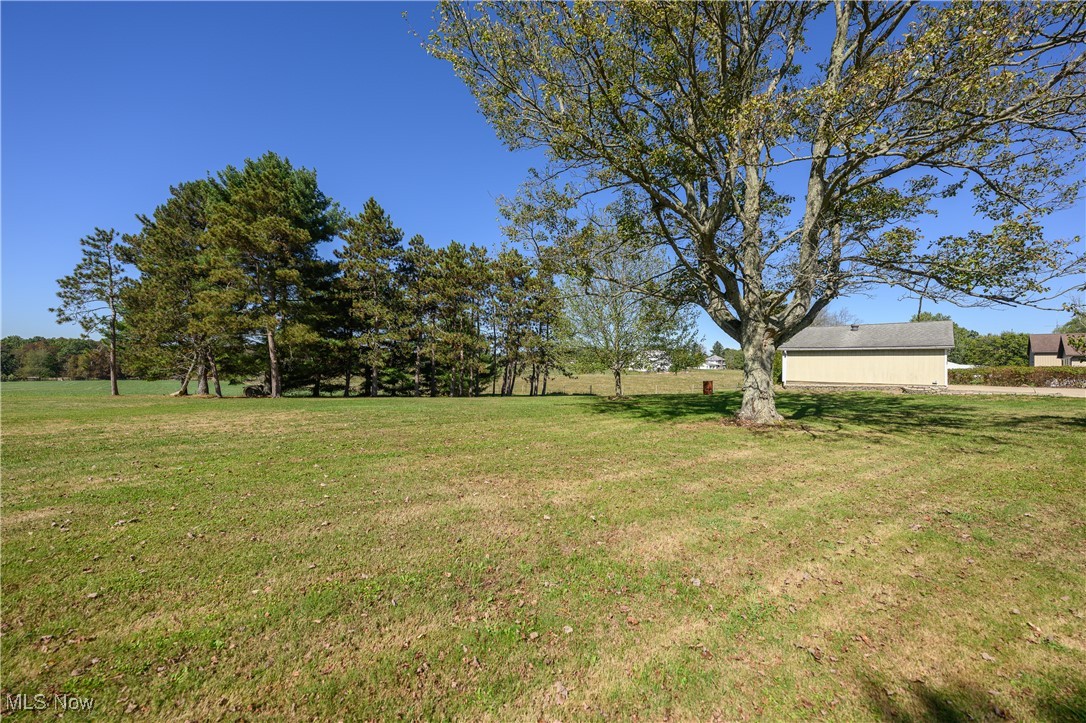 View of grassy yard