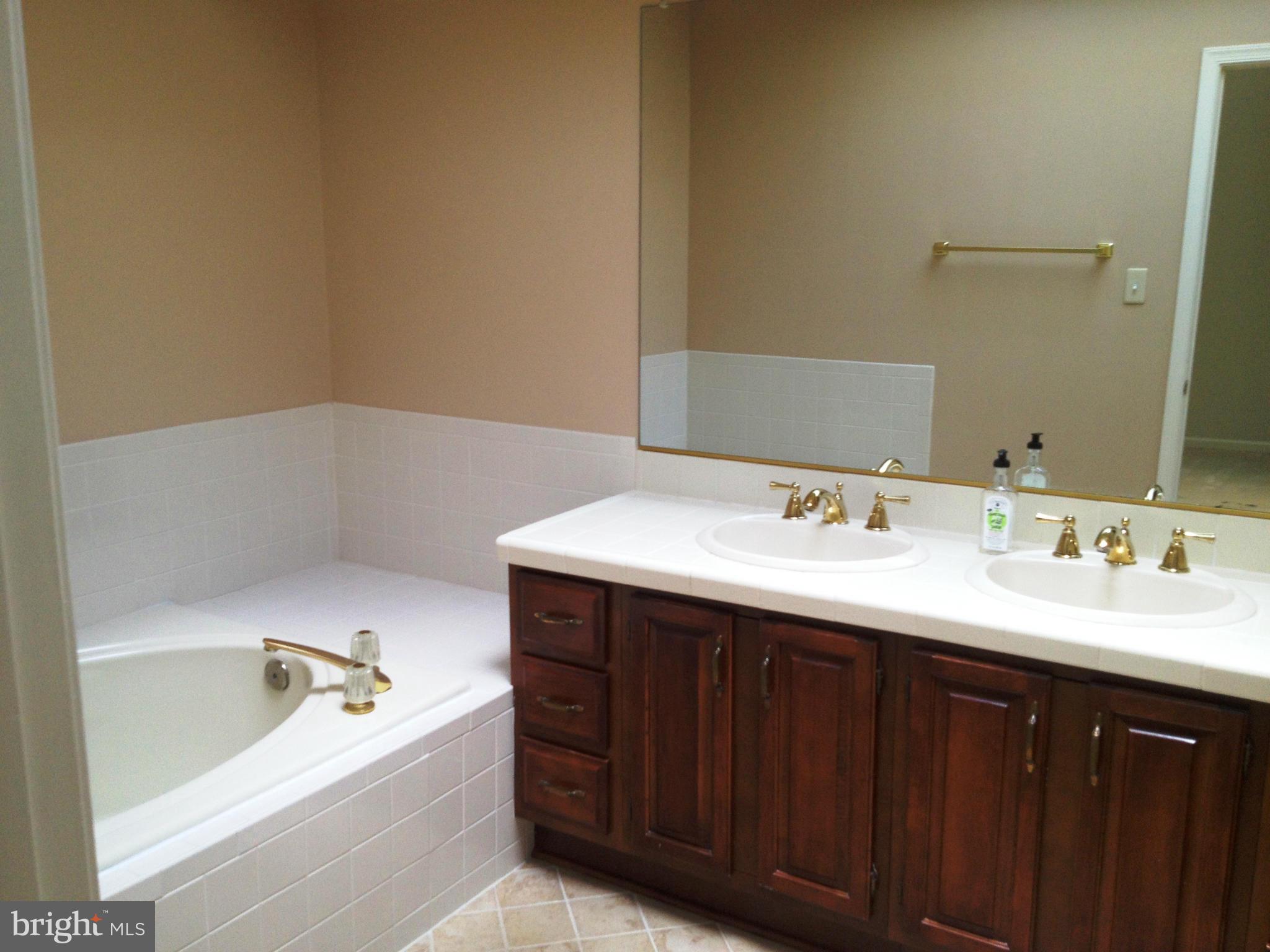 3811 Inverness Road Fairfax, VA 22033 - Photo 19 of 30 Bath (Master)