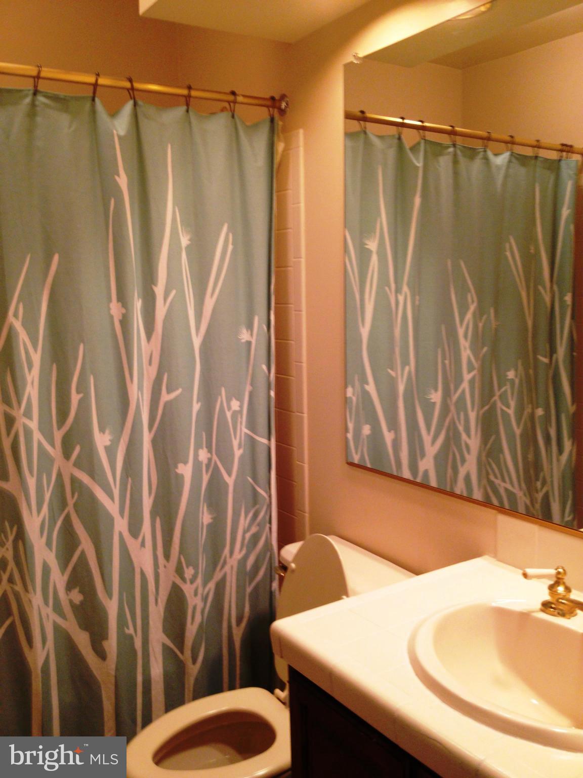 3811 Inverness Road Fairfax, VA 22033 - Photo 21 of 30 Bath