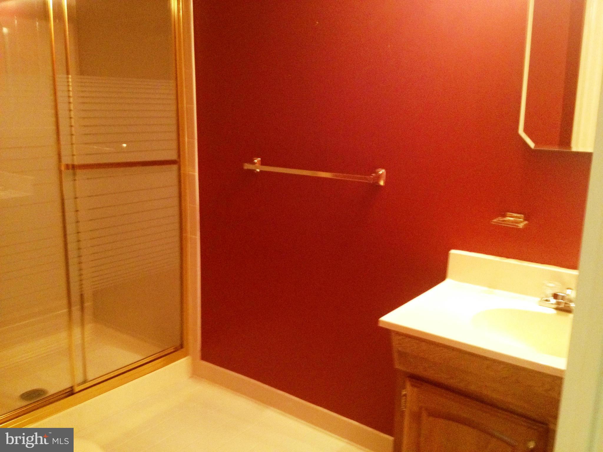 3811 Inverness Road Fairfax, VA 22033 - Photo 24 of 30 Bath