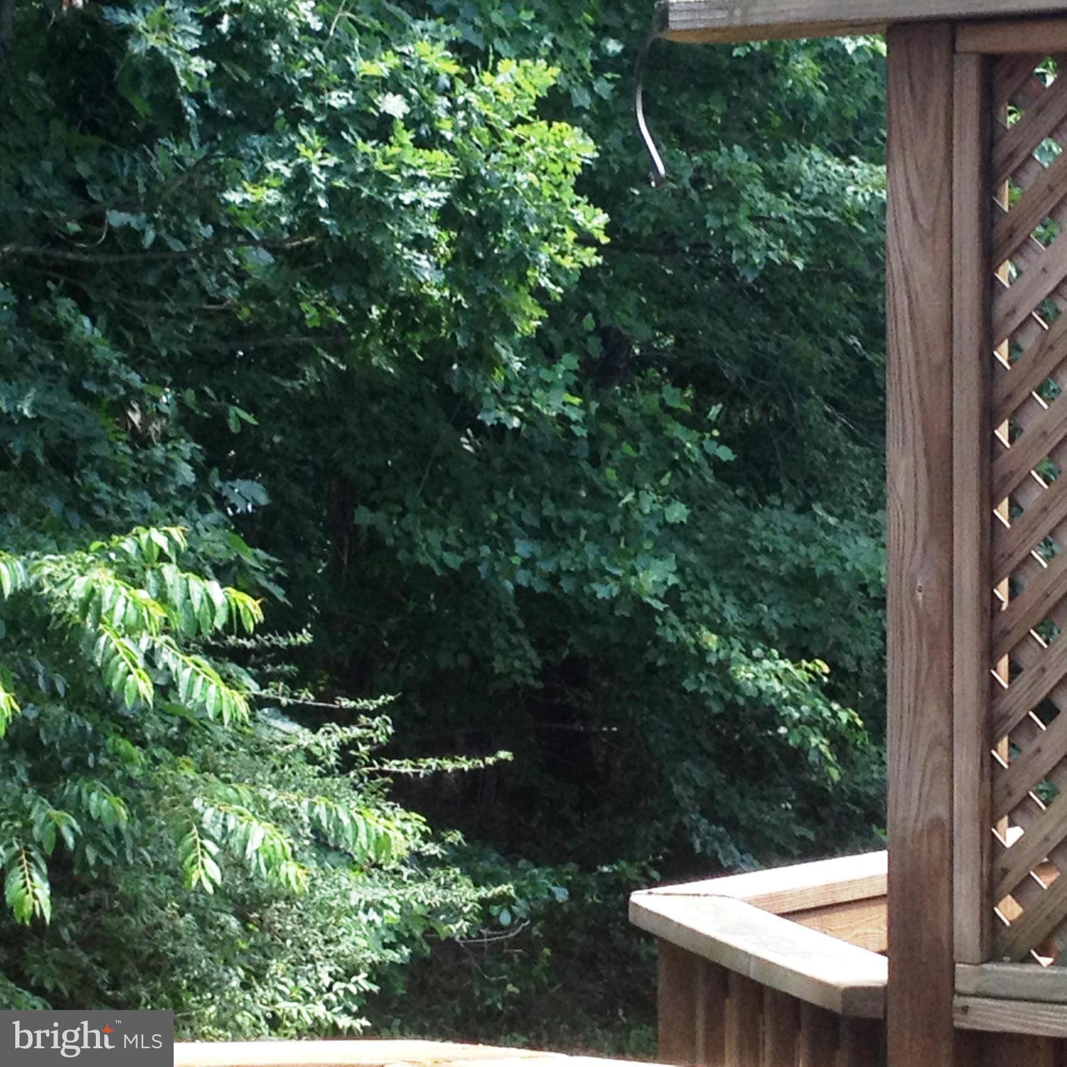 3811 Inverness Road Fairfax, VA 22033 - Photo 6 of 30 View