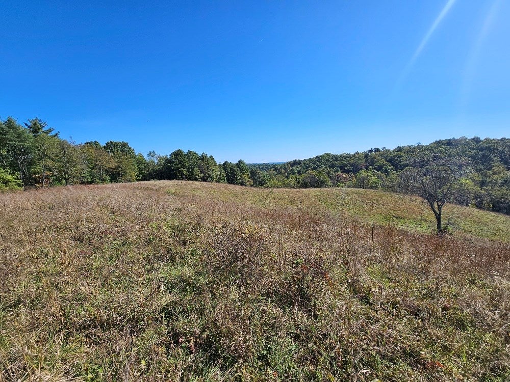 Tbd Homestead Road Hillsville, VA 24343 - Photo 7 of 11 Gallery Image 7