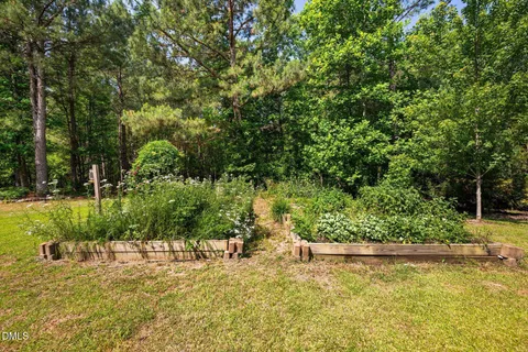 a view of a garden with plants