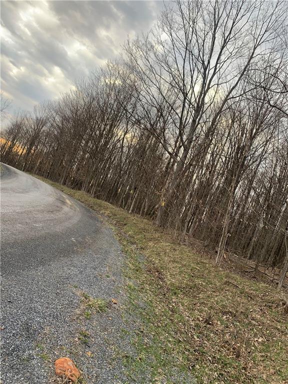 0 Brickell Road Glen Campbell, PA 15742 - Photo 1 of 8 a view of a yard with a tree