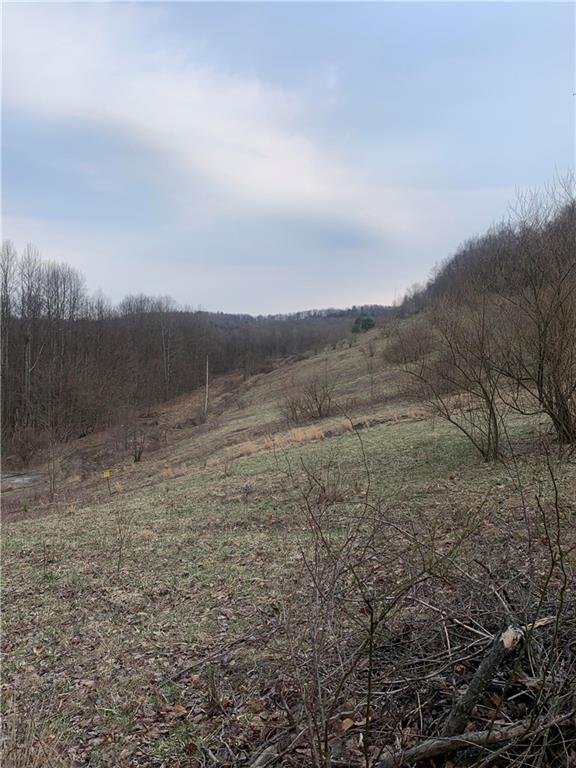 0 Brickell Road Glen Campbell, PA 15742 - Photo 4 of 8 a view of a dry yard with trees in the background