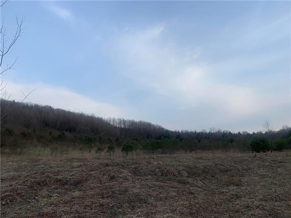 0 Brickell Road Glen Campbell, PA 15742 - Photo 6 of 8 a view of a field