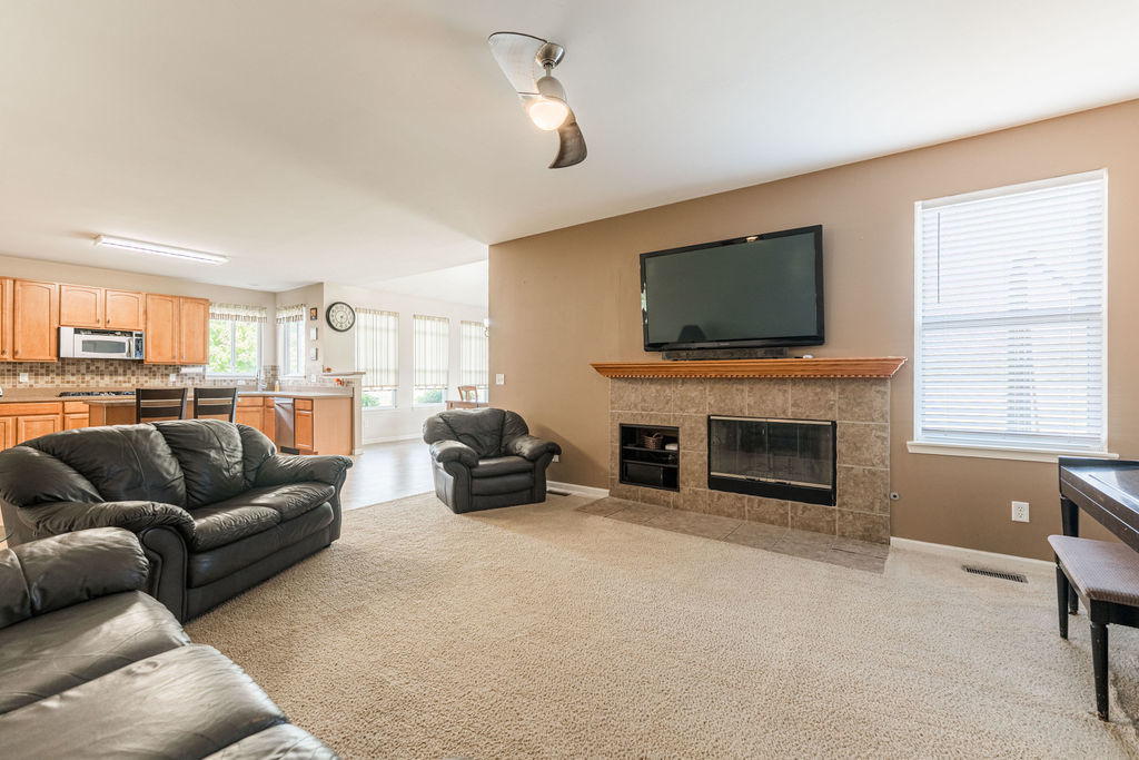 508 Winding Trail Genoa, IL 60135 - Photo 16 of 41 a living room with furniture flat screen tv and a fireplace