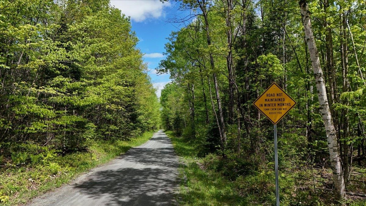 Longhill/leonard Road Concord, VT 05824 - Photo 11 of 14
