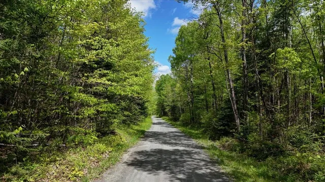 $225,000 | Longhill/leonard Road, Concord, VT 05824