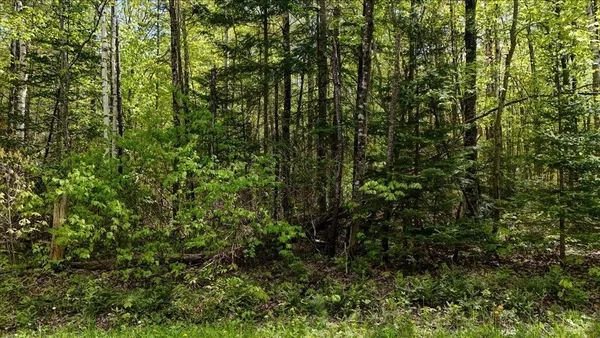 $199,000 | Longhill/leonard Road, Concord, VT 05824