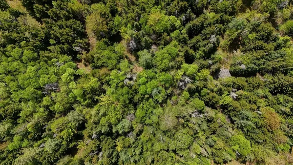 $199,000 | Longhill/leonard Road, Concord, VT 05824