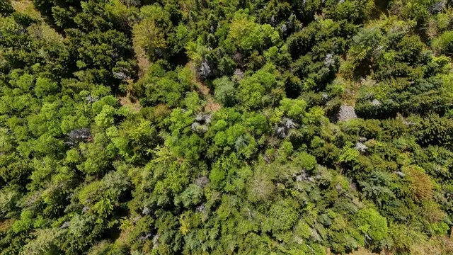 $225,000 | Longhill/leonard Road, Concord, VT 05824