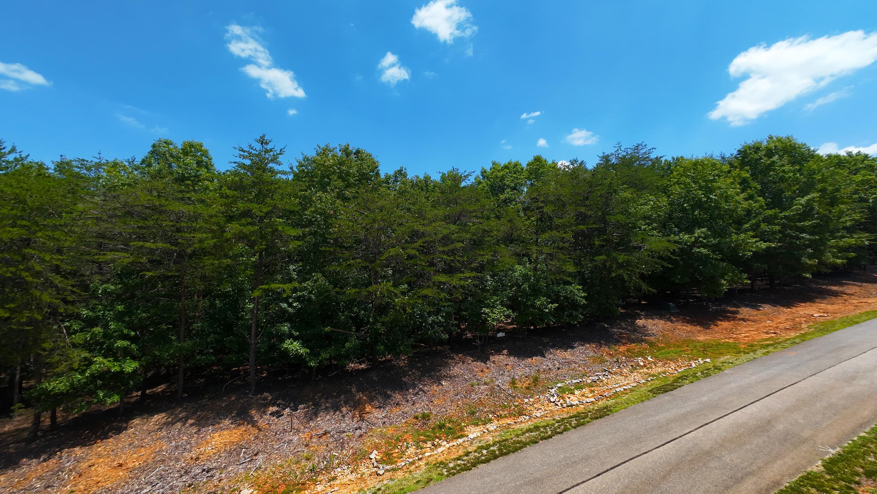 Lot 61 Garrison Ridge Pittsville, VA 24139 - Photo 13 of 14 Land