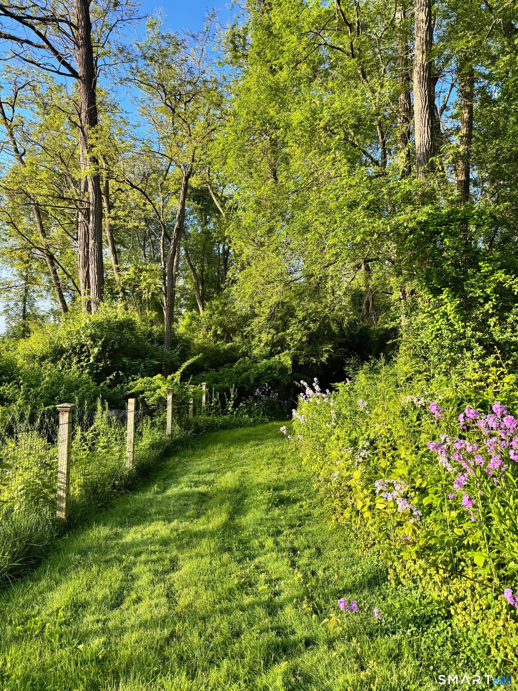 50 Millerton Road Salisbury, CT 06039 - Photo 14 of 15 Backyard path to the lake.