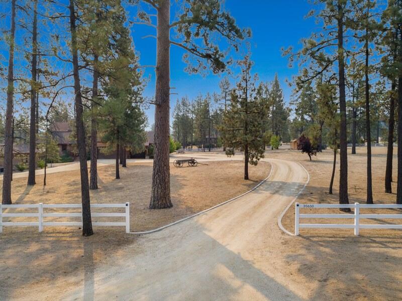 35650 Pyramid Peak Road Mountain Center, CA 92561 - Photo 2 of 58 a view of a park with trees