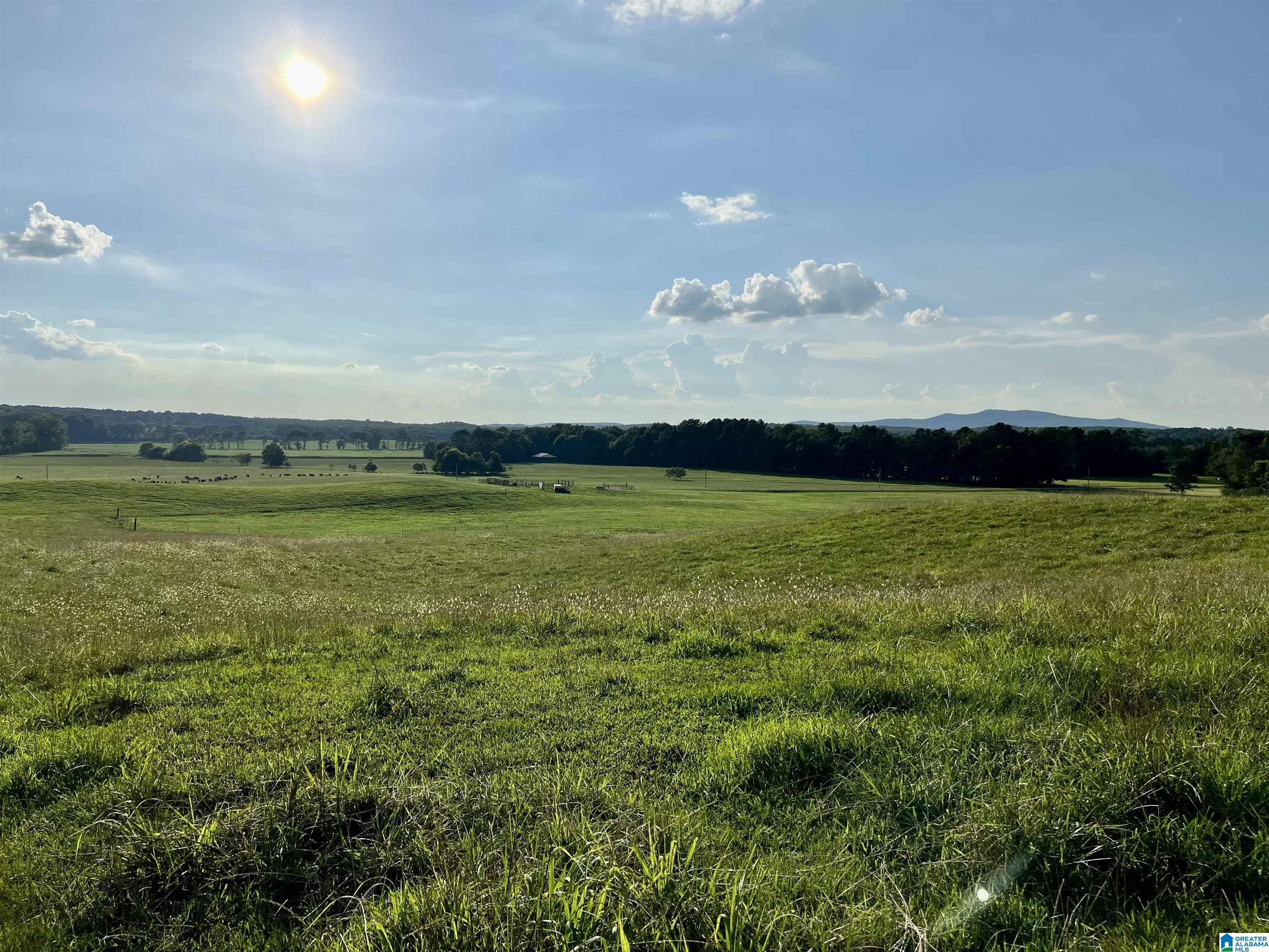 1515 Kelly Ranch Road, Unit 138 ACRES / Talladega, AL 35160 - Photo 2 of 42