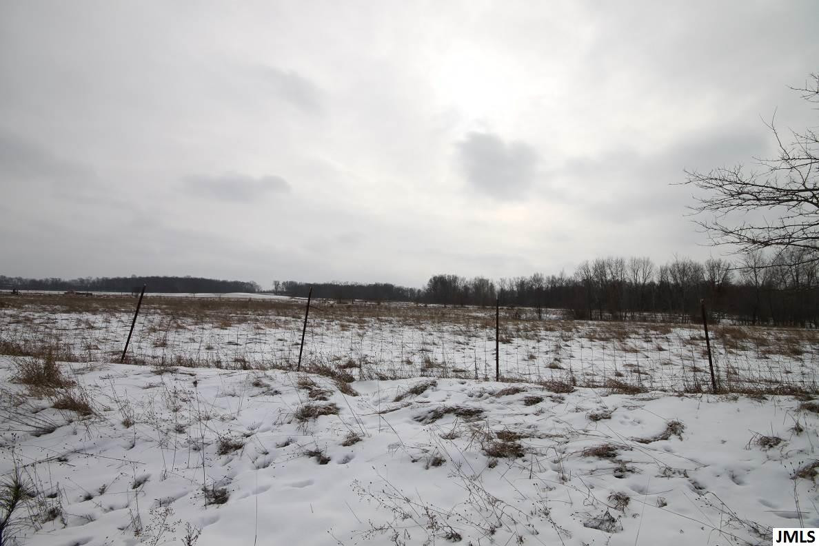 4249 Saunt Road Jackson, MI 49201 - Photo 2 of 33 Photo 2