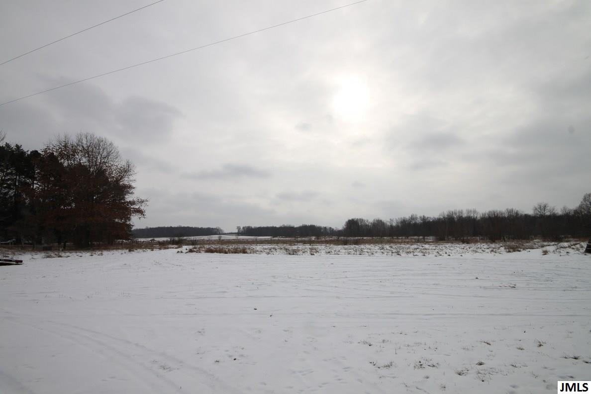 4249 Saunt Road Jackson, MI 49201 - Photo 25 of 33 Photo 25