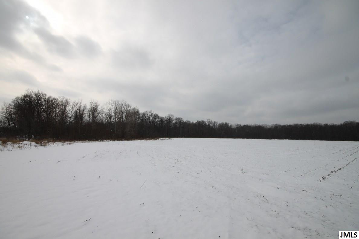 4249 Saunt Road Jackson, MI 49201 - Photo 28 of 33 Photo 28