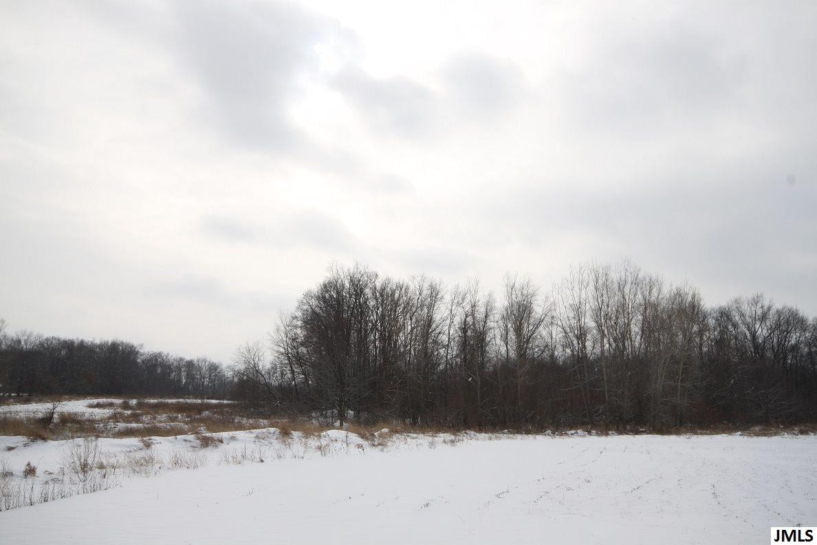 4249 Saunt Road Jackson, MI 49201 - Photo 29 of 33 Photo 29