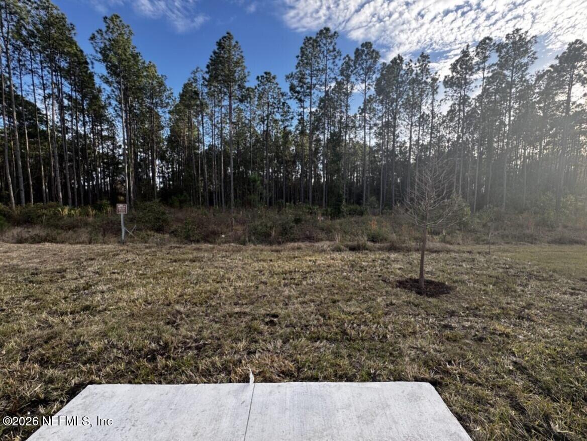 12336 Great Eagle Road Jacksonville, FL 32219 - Photo 29 of 65 backyard