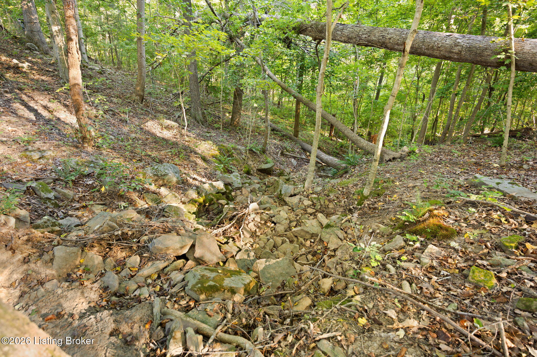 1185 Elliott Road Hudson, KY 40145 - Photo 34 of 73 34-web-or-mls-413A4416