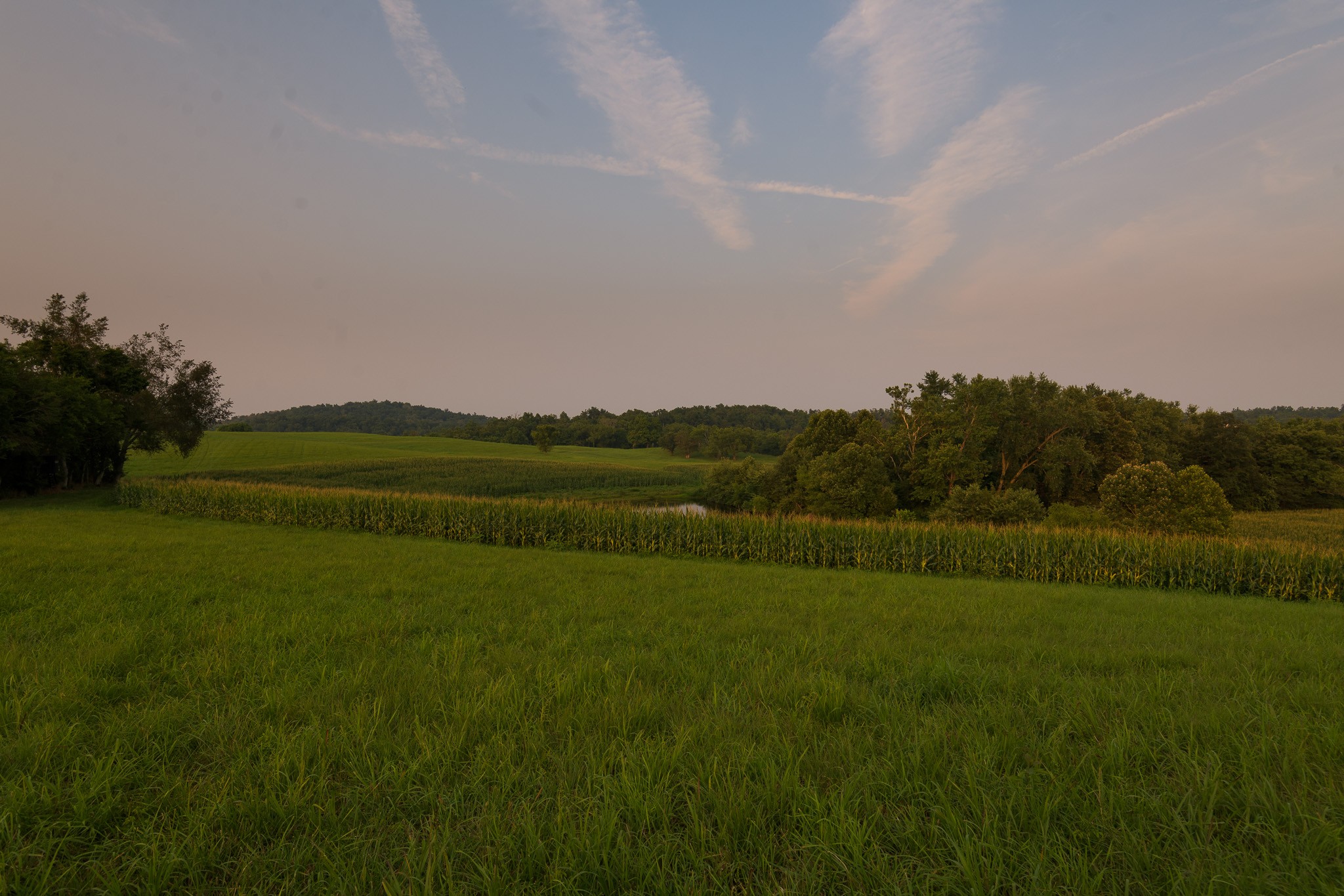 1 Cathey Road Wartrace, TN 37183 - Photo 22 of 38 Gallery Image 22