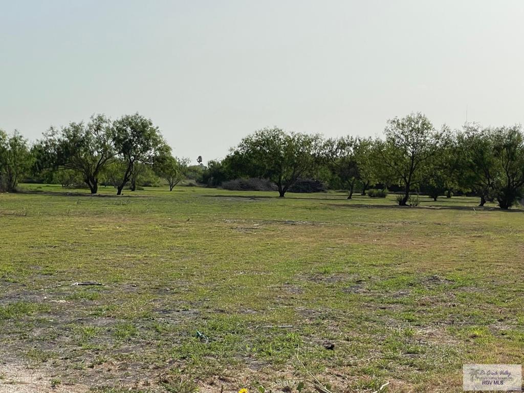 5-6 Doane Road, Unit 5 & 6 Harlingen, TX 78552 - Photo 1 of 1 Gallery Image 1