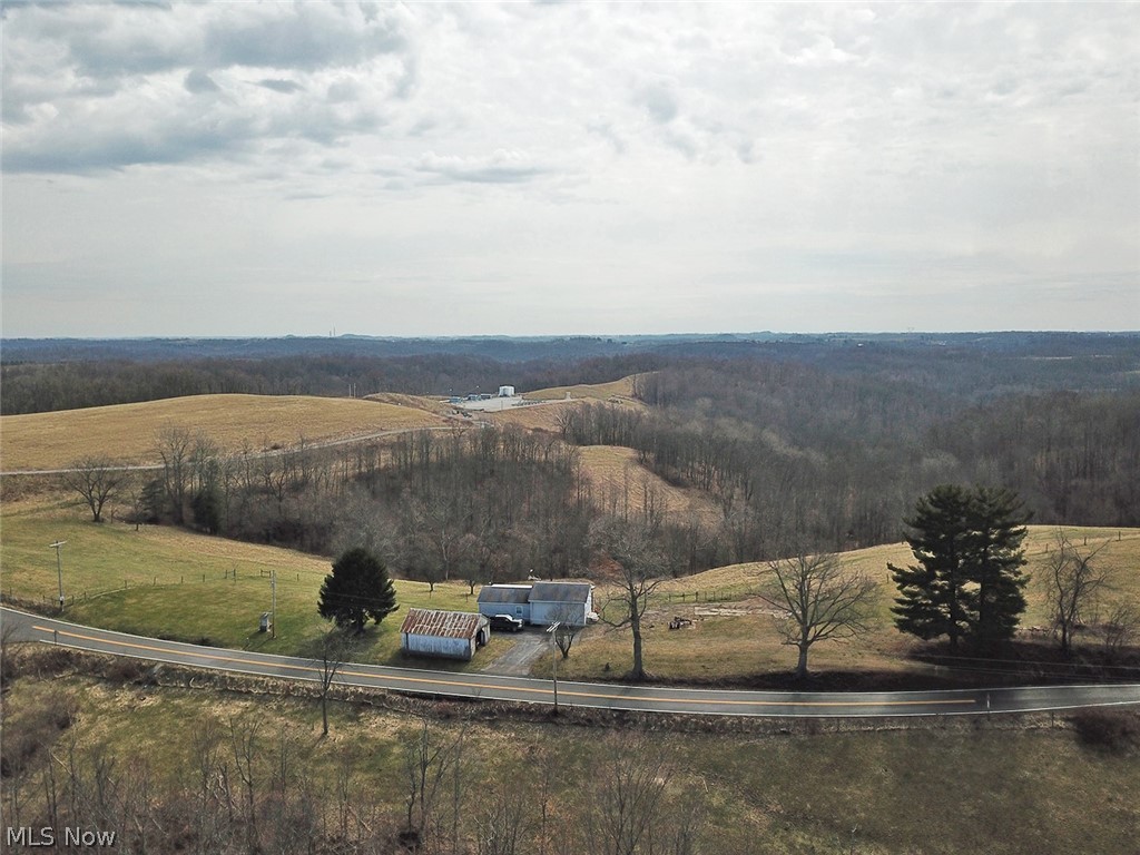 54675 Pugh Ridge Road Alledonia, OH 43902 - Photo 14 of 19
