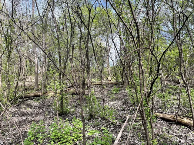 $217,900 | Xxxx Woodhill Road, Burnsville, MN 55337