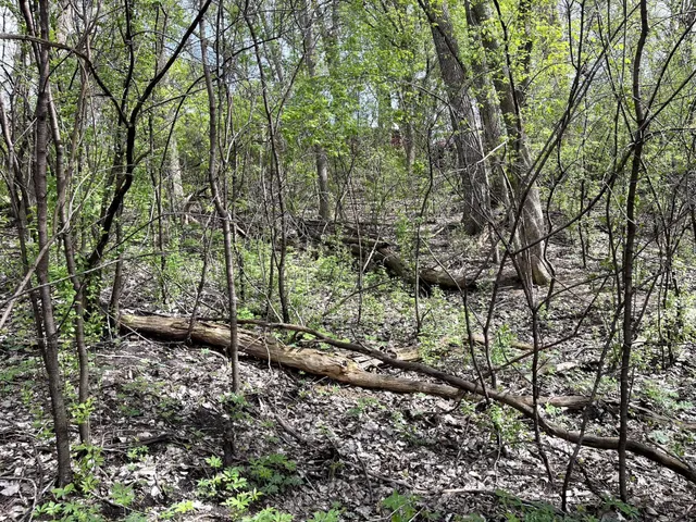 $217,900 | Xxxx Woodhill Road, Burnsville, MN 55337