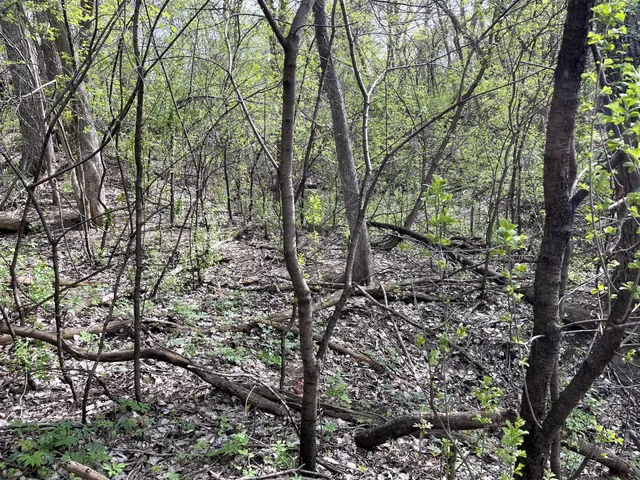 $217,900 | Xxxx Woodhill Road, Burnsville, MN 55337