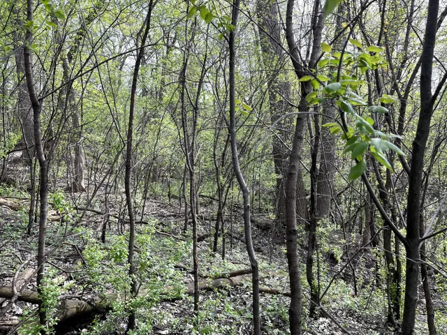 $217,900 | Xxxx Woodhill Road, Burnsville, MN 55337