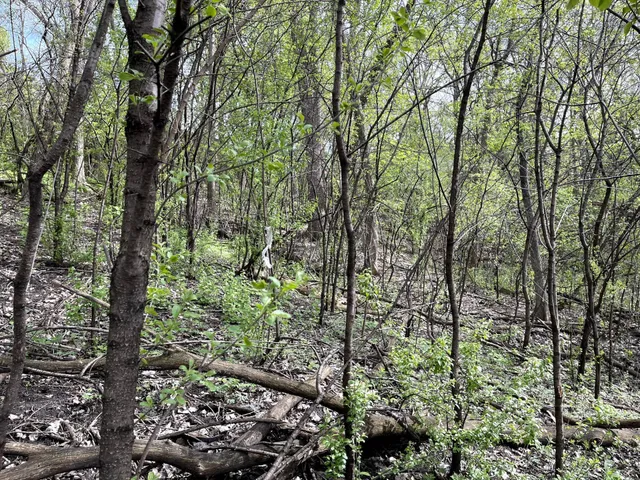 $217,900 | Xxxx Woodhill Road, Burnsville, MN 55337