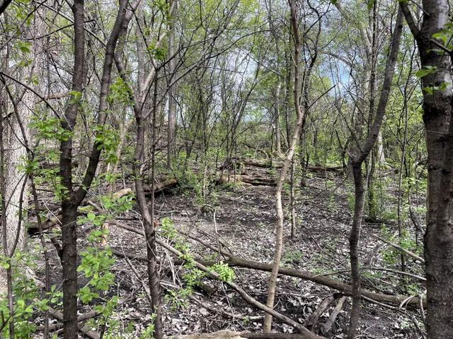 $217,900 | Xxxx Woodhill Road, Burnsville, MN 55337