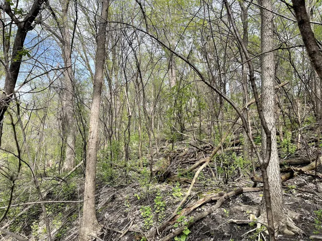 $217,900 | Xxxx Woodhill Road, Burnsville, MN 55337