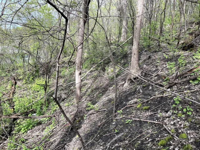 $217,900 | Xxxx Woodhill Road, Burnsville, MN 55337