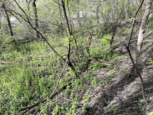 $217,900 | Xxxx Woodhill Road, Burnsville, MN 55337