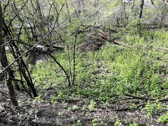 $217,900 | Xxxx Woodhill Road, Burnsville, MN 55337