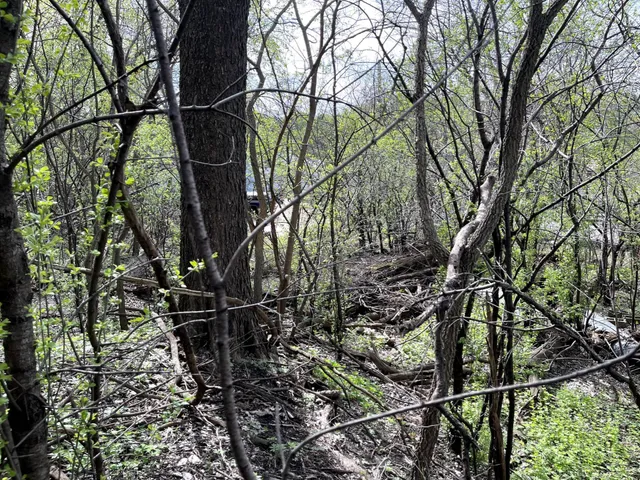 $217,900 | Xxxx Woodhill Road, Burnsville, MN 55337