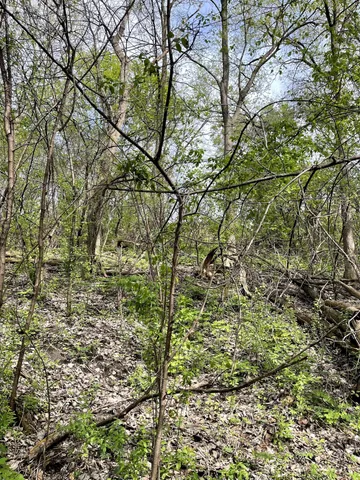 $217,900 | Xxxx Woodhill Road, Burnsville, MN 55337