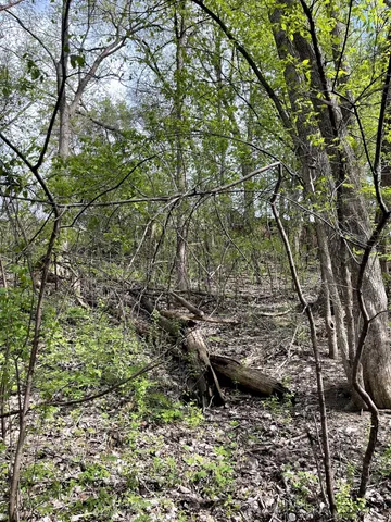 $217,900 | Xxxx Woodhill Road, Burnsville, MN 55337