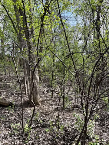 $217,900 | Xxxx Woodhill Road, Burnsville, MN 55337