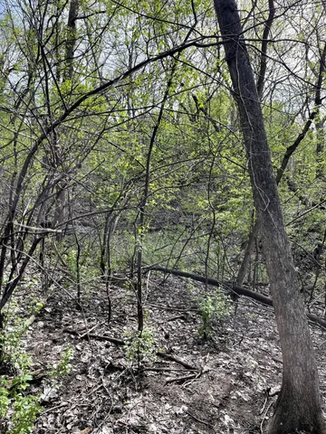 $217,900 | Xxxx Woodhill Road, Burnsville, MN 55337