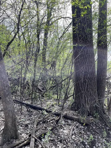 $217,900 | Xxxx Woodhill Road, Burnsville, MN 55337